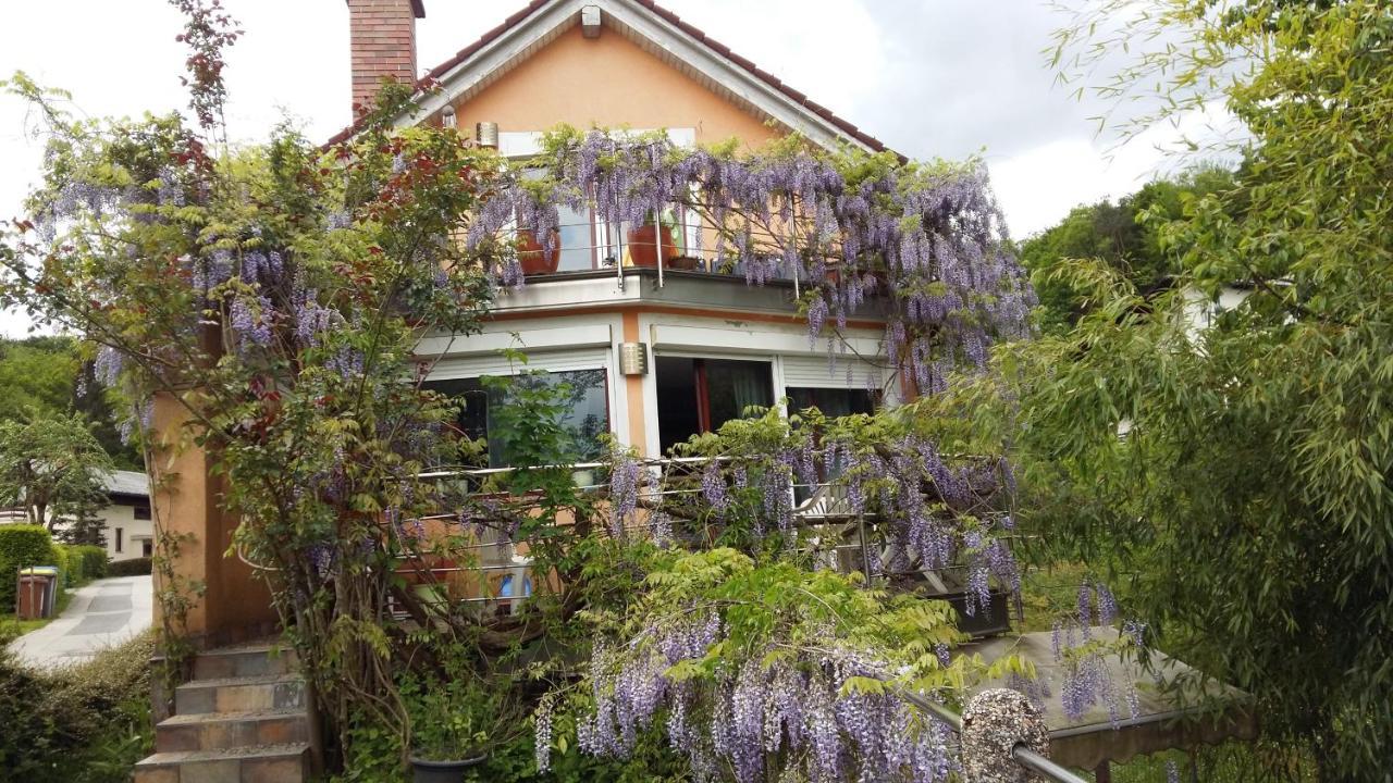 Aneri Apartment